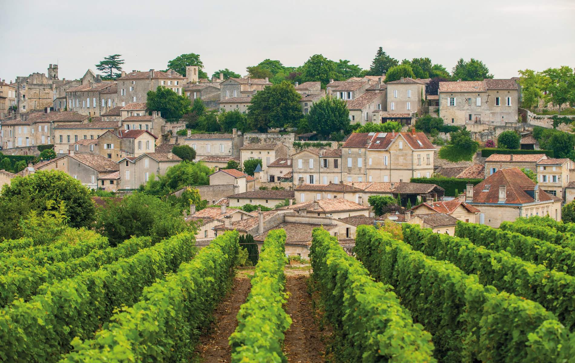 Brilliant Bordeaux