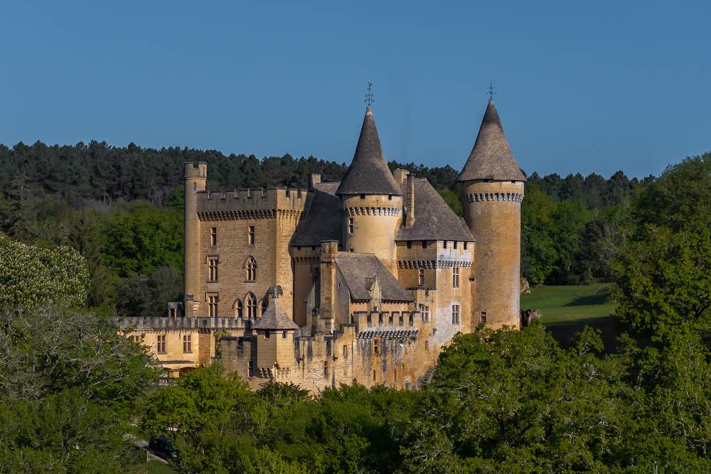 Chateau de Puymartin