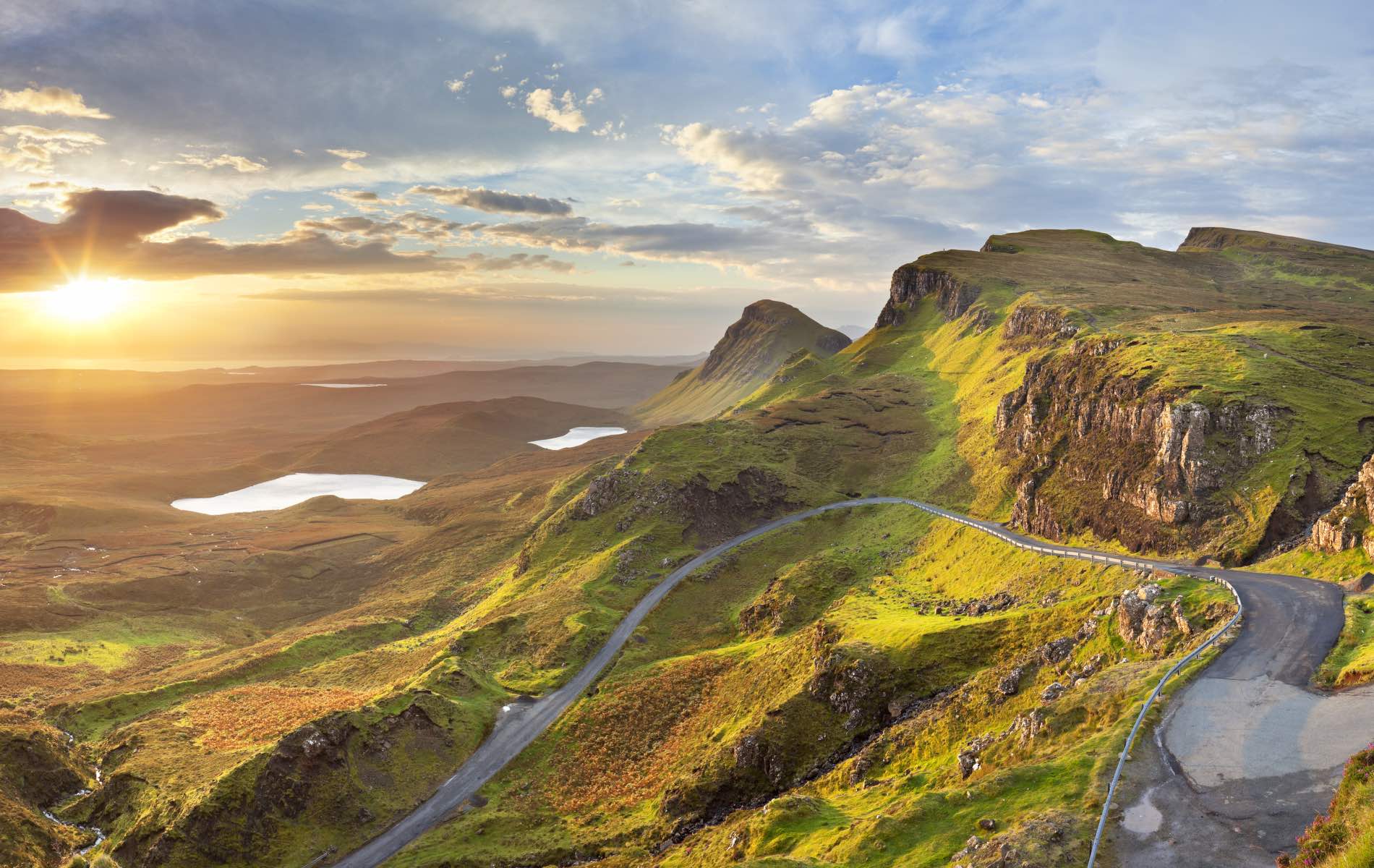 A Scottish Scene Stealer